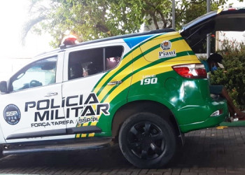 Piauí teve 14 mortes e 22 apreensões de armas de fogo, diz balanço da SSP